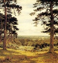 Leader Benjamin Williams A Peep Through The Pines