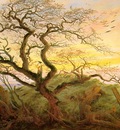 The Tree of Crows CGF