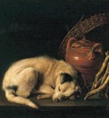 Dou 50Dog