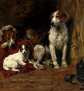 Emms John Hounds And A Jack Russell In A Stable
