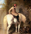 Herring Jnr  John Frederick Refreshment A Boy Watering His Grey Pony