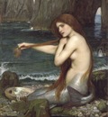 A Mermaid
