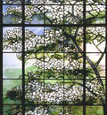 Tiffany Dogwood