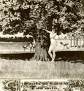 CAODALTY