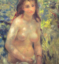 Study Torso Sunlight Effect