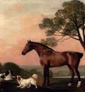 Stubbs George A Bay Hunter With Two Spaniels