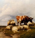 Cooper Thomas Sidney A Cow And Sheep On The Cliffs