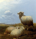 Cooper Thomas Sidney Sheep At Pasture