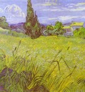 Van Gogh Vincent Green Wheat Field with Cypress  Saint Remy