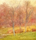 Weir Julian Alden Autumn Rain