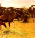 Kuhnert Wilhelm Moose With Her Calf In A Landscape