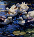 Koester Alexander Five Ducks In A Pond