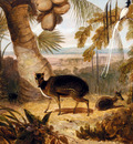 Daniell William Musk Deer And Birds Of Paradise
