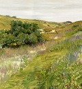 Chase William Merritt Landscape Shinnecock Hills