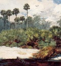 Homer Winslow In a Florida Jungle