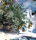 Homer Winslow Orange Tree Nassau aka Orange Trees and Gate