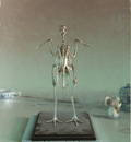 sprick chicken skeleton lg