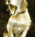 Louis Brasseur - Yawning dog