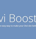 Divi Booster