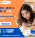 Assignment Help USA