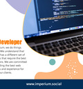Web Developer Kingston