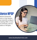 Salesforce NPSP