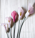 How to make paper flower calla lily easy and beautiful
