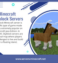 Minecraft Skyblock Servers