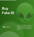 Buy Fake Id