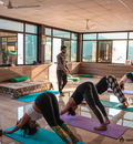 6 days yoga retreat in rishikesh