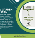 Raw Garden Scan