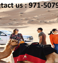 Camel Dubai Desert safari