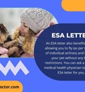 ESA Doctors