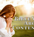 Bible Verses About Contentment