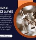 Criminal Defence Lawyer