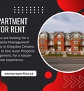 Apartment For Rent In Kingston