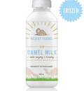 Strengthen Your Immunity System With The Help of Camel Milk