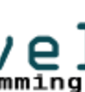 Web development and programming questions and answers