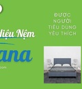 Đánh giá 7 chiếc nệm Tatana qua lời kể của khách hàng | Thegioinem.com