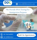 DNA Testing For Immigration