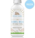 Make Your Immune System Strong With Camel Milk