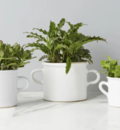 Olive Jar Planter | Uplift Your Home Decor With Different Styles Vases