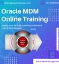 Oracle Master Data Management