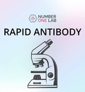 Rapid Antibody Test