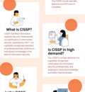 Best CISSP Training Online Provided by Network Kings