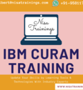 IBM Curam Analyst Certification
