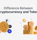 "Top Crypto Exchange Development Provider Brings Expertise to the Table"