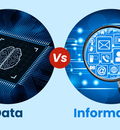Data Vs Information The Ultimate Guide