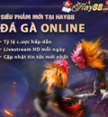 hay88-4