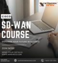 Best SD-WAN Course - Enroll Now